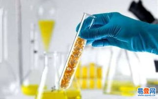 黃島進出口代理 助力企業(yè)拓展國際市場的關(guān)鍵伙伴