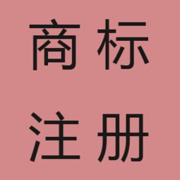 上海企業(yè)怎么辦理進(jìn)出口權(quán) 代辦進(jìn)出口權(quán)